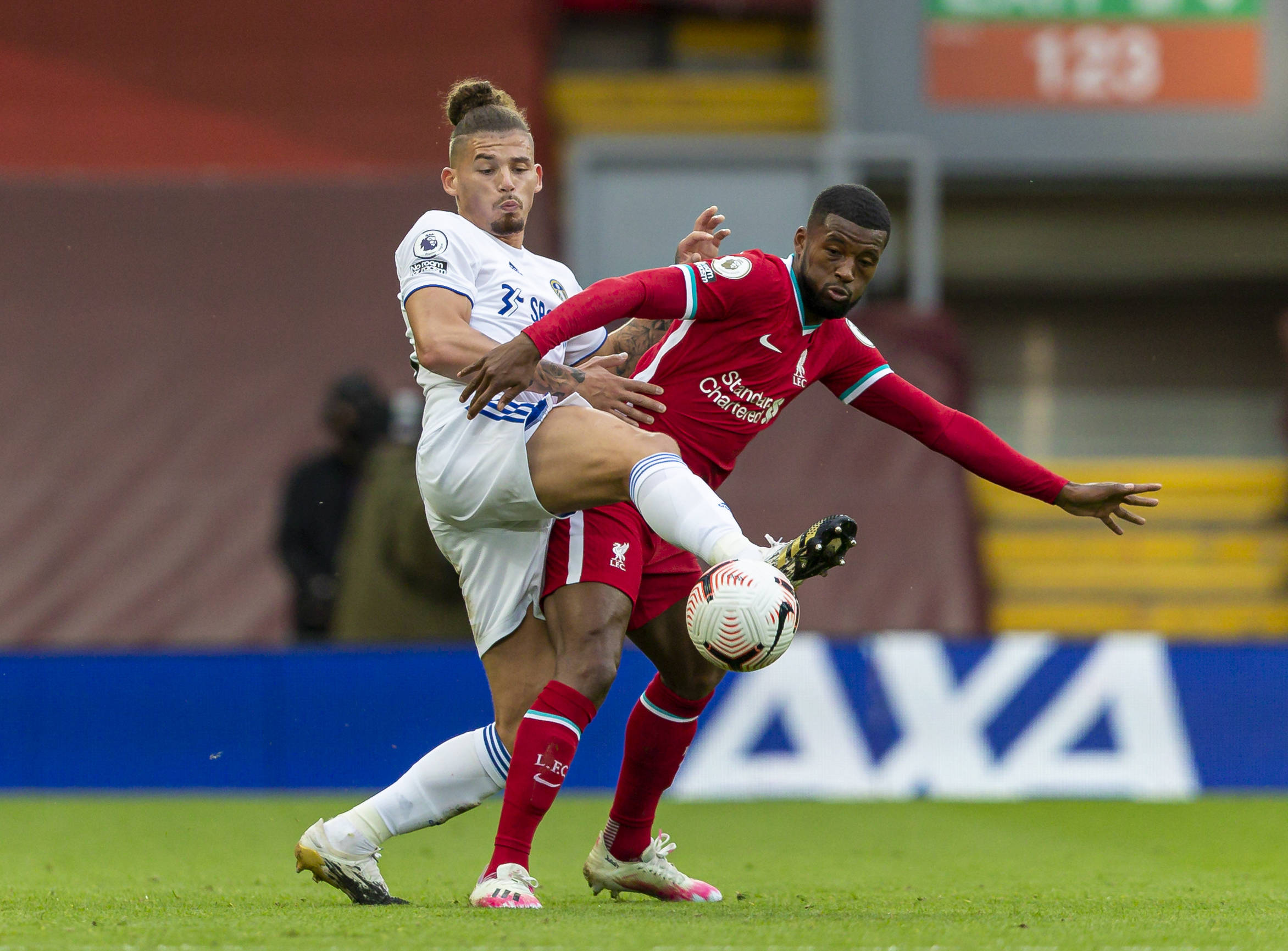 杨力维高效 杨力维高效